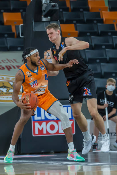 新西兰队的 新西兰队的