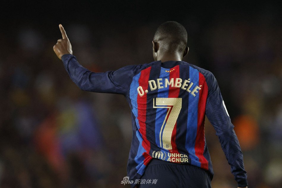 罗那的目光 罗那的目光